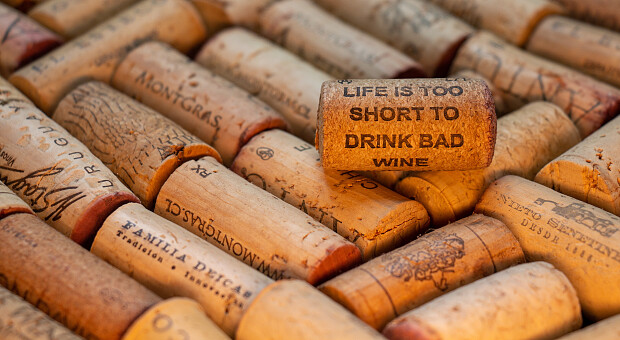 Сам себе сомелье: как научиться разбираться в тонкостях вина