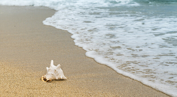 Пляжи и горнолыжные курорты: куда поехать из Украины зимой