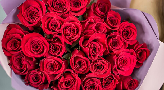 Як виростити метрові троянди