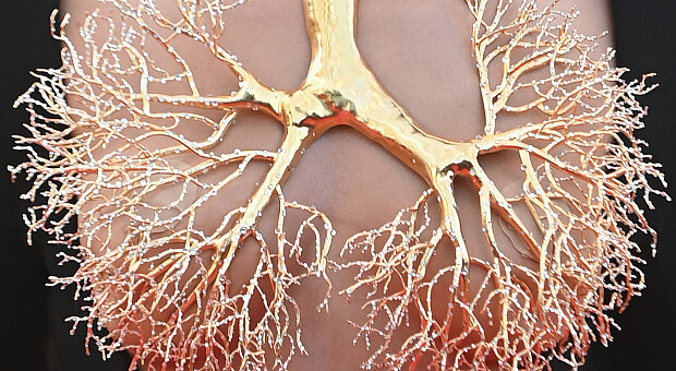 Мокрое, без лица, с бронхами и скромное королевское: лучшие платья звезд 2021