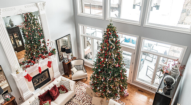 Жива чи штучна: як обрати новорічну ялинку