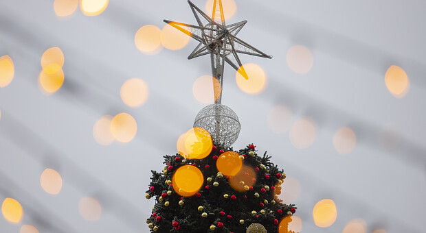 Главные новогодние локации Киева