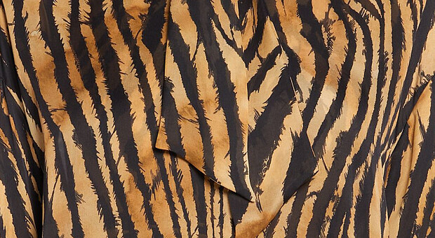 У чому зустріти Новий рік: топ-10 суконь із тигровим принтом