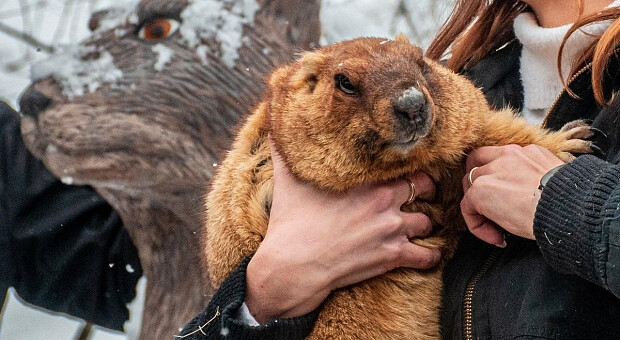 Вчасна, але нестабільна. Бабак Тимко дав прогноз на весну-2022