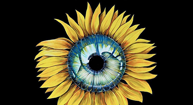 Легендарный Pink Floyd выпустил сингл с украинской повстанческой песней. Видео