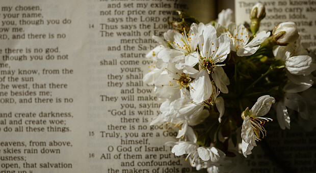 Пасха-2022: когда празднуют в странах мира и сколько будет выходных