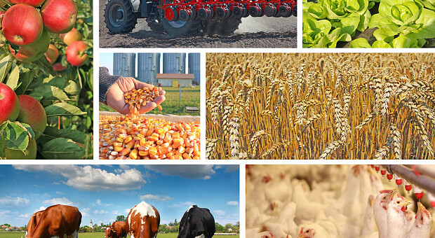 Рада предлагает увеличить государственную поддержку аграриев во время войны