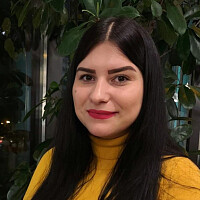 Карина Шевелєва