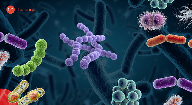 Холера, ботулізм і токсичний мул — які небезпеки чекають на українців через підрив ГЕС