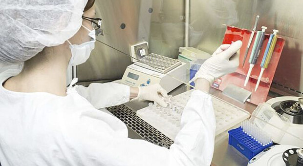 В яких приватних лабораторіях можна безкоштовно здати аналізи і як це зробити