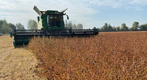 Американський мільярдер Говард Баффет зібрав гречку з фермерами Київщини