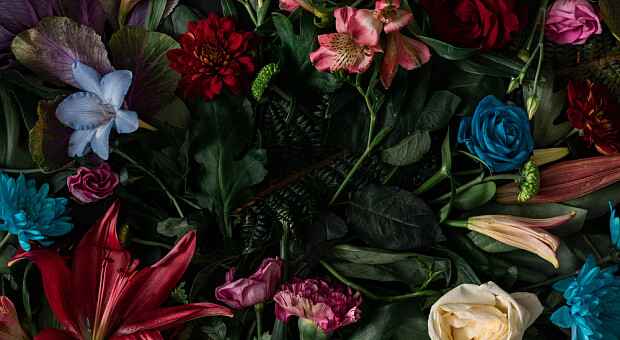 Погляньте на квіти і оберіть одну: цей тест несподівано точно показує, яка ви людина насправді