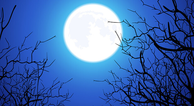 Місячний календар стрижок на кінець року: у які дні грудня не можна стригти волосся