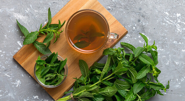 Який чай варто пити на ранок після гучної вечірки з жирною їжею та алкоголем