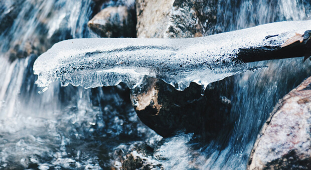 Зі святом Стрітення Господнього 2026: гарні привітання та картинки