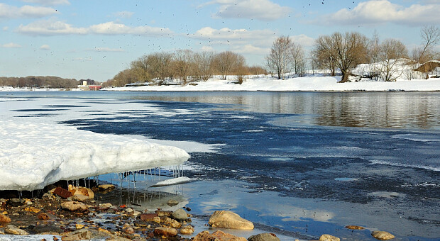 Масляна 2026 – що це за свято, коли воно та як його ще називають в Україні