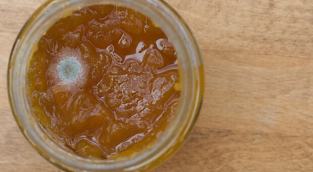 Чому варення вкривається пліснявою і як цього уникнути